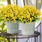 24 Bundles Artificial Flowers for Outdoors UV Resistant Fake Plastic Plants (Yellow) 0.1"D x 0.1"W x 0.1"H